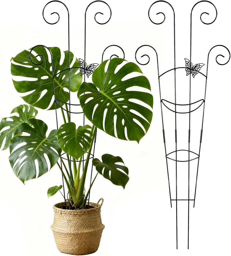 2 Pcs Tall Trellis for Potted Plants, Plant Pothos Climber Support for Monstera by Unknown