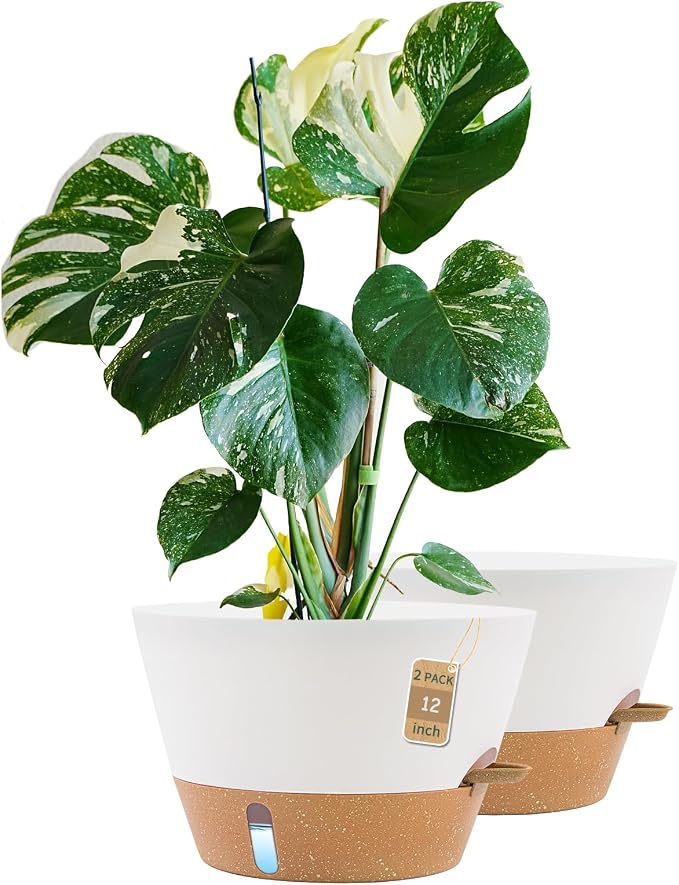 12-Inch Self Watering Planters by FIASON