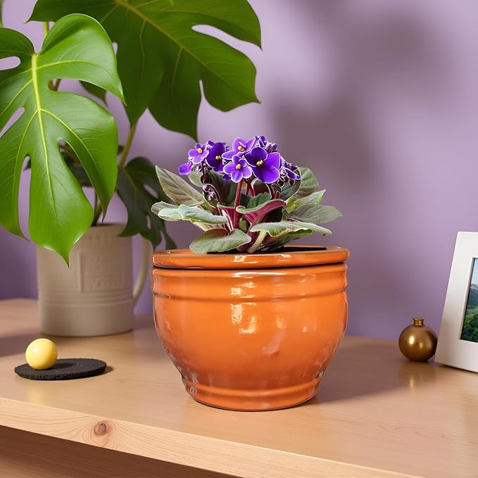 African Violet Pots Self Watering Round Ceramic Violet Pot - Image 8