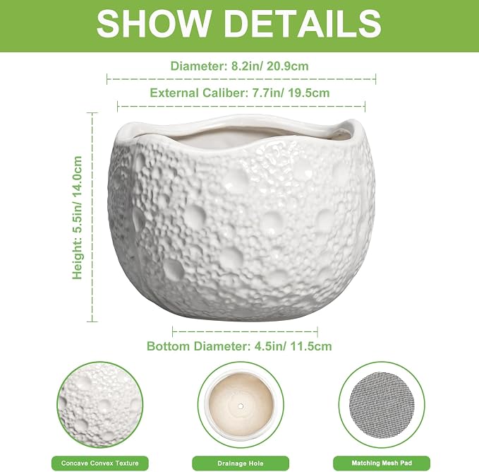 Ceramic Plant Pot - Image 2