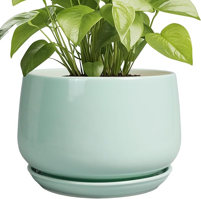 G EPGardening Ceramic Pots for Plants by GEPGardening