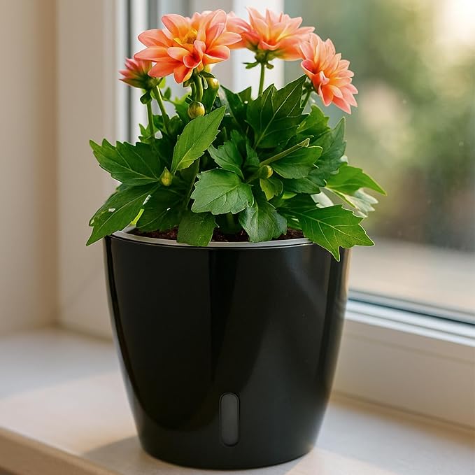 Self Watering Pots for Indoor Plants, Small African Violet Pots - Image 6