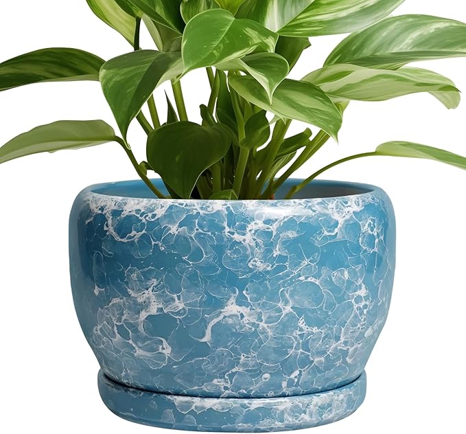 SQOWL Ceramic Pots for Plants by SQOWL