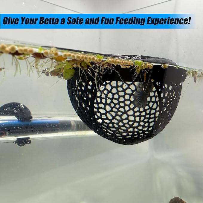 Aquarium Floating Betta Fish Skins, Betta or Shrimp Feeder, Cave and Hammock - Image 5