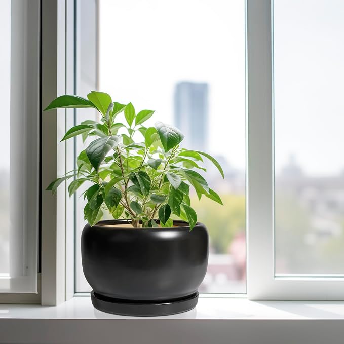 SQOWL Ceramic Flower Pot - Image 4