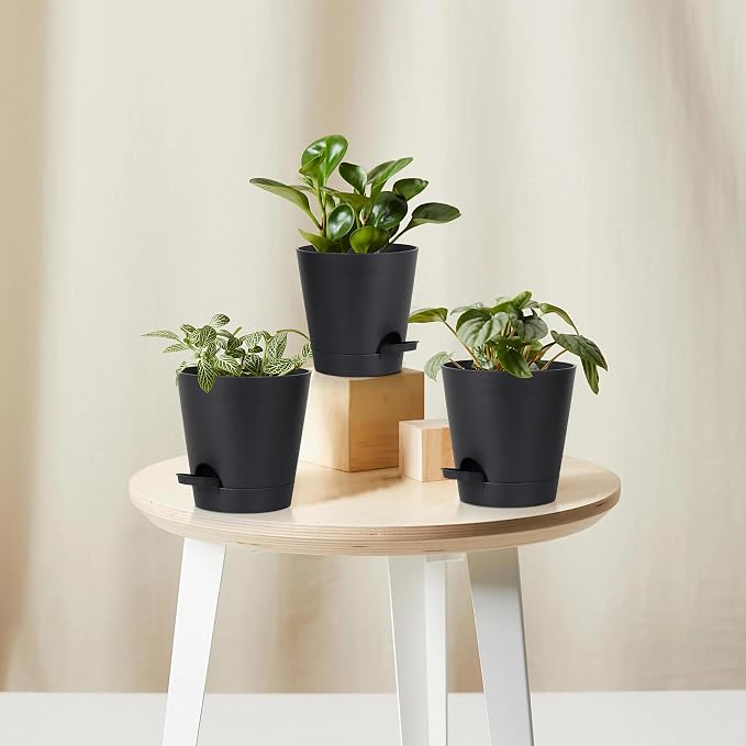 5 Pack 5 inch Self-Watering Pots, African Violets Planter - Image 8
