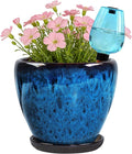 Ceramic Pots for Plant with Self Watering Globes, 6 inch Planters for Indoor by Xoogifae