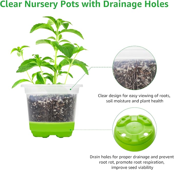 MIXC Thickened Clear Nursery Pots - Image 6