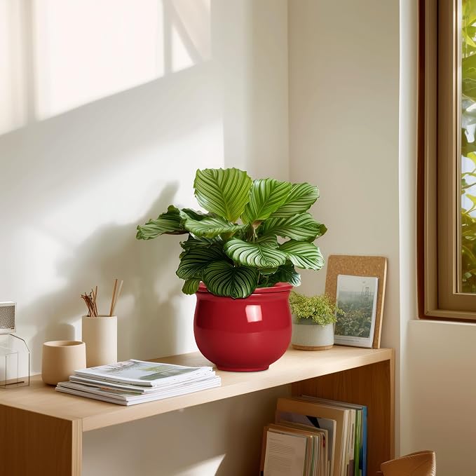 Ceramic Self Watering Planter, 6 Inch African Violet Pots - Image 7