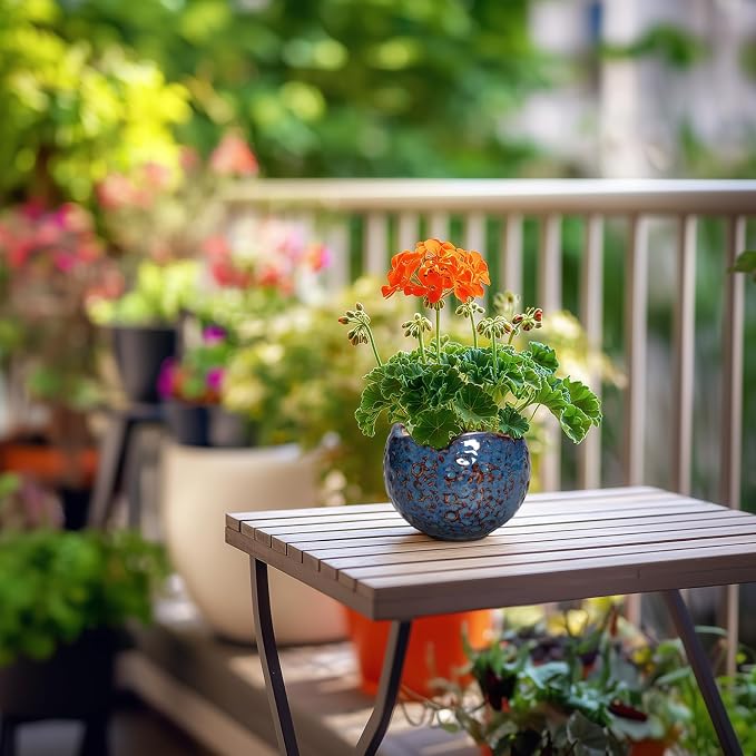Ceramic Pots for Plants - Image 7