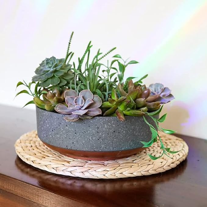 The HC Companies 8 Inch Round Plastic Succulent Capri Bowl 8"x8"x3" in Faux - Image 2