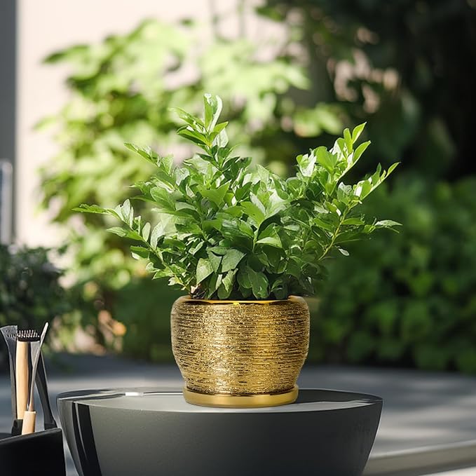 SQOWL Ceramic Planter - Image 4