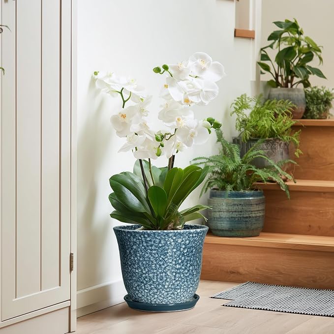 10 Inch Plant Pot - Image 6