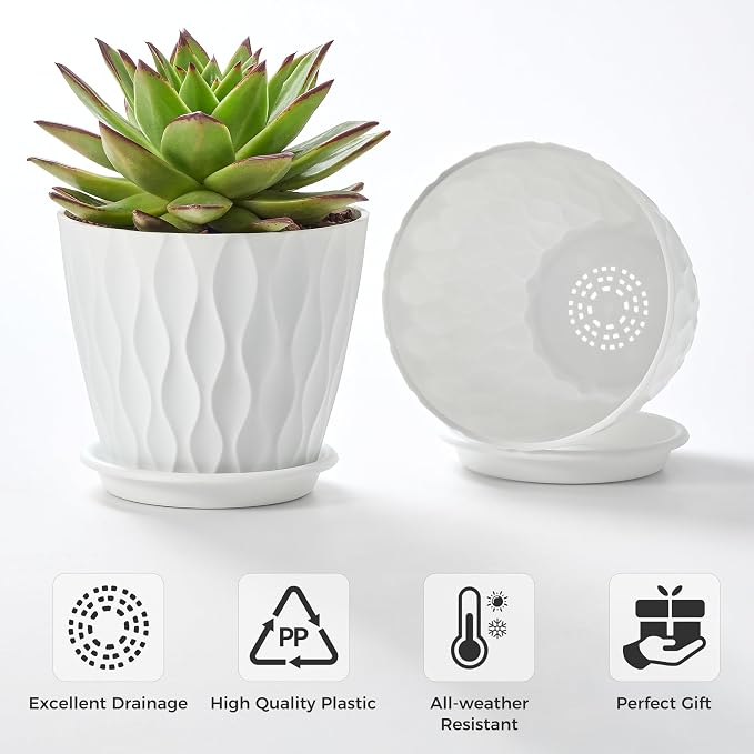 FaithLand 6-Pack 6-Inch Plastic Plant Pots - Image 2