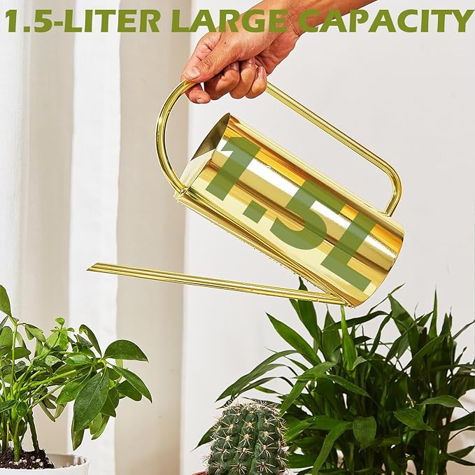 Watering Can for Indoor Plants, 50 oz/1.5L Stainless Steel Watering Can Pot - Image 2