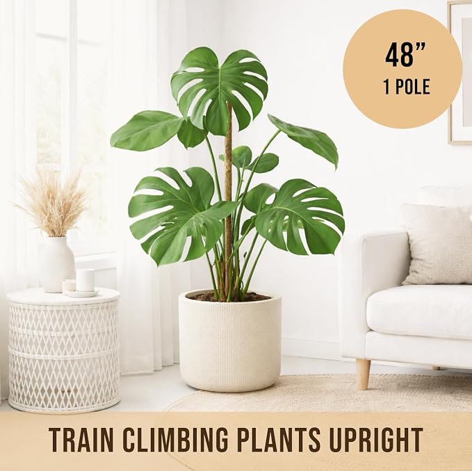 Moss Pole Monstera Plant Support – 48” Bendable Moss Pole Monstera Plant Support - Image 4