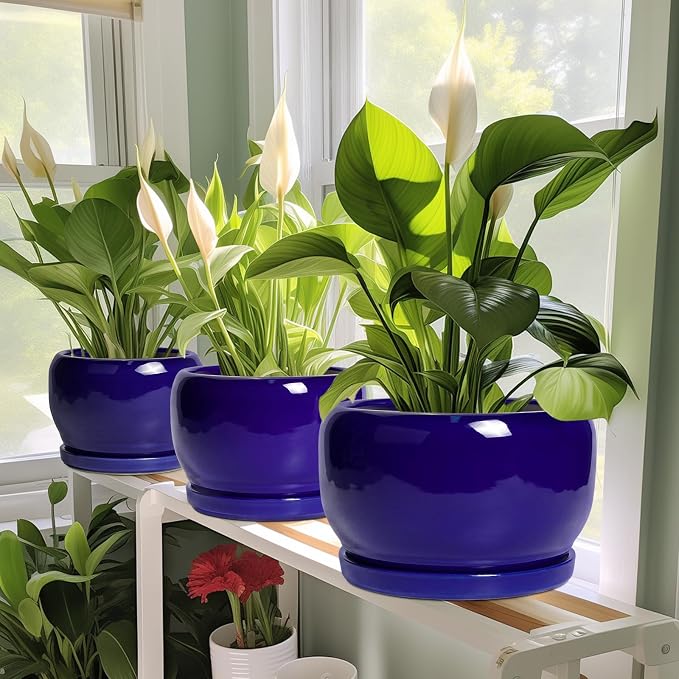 SQOWL Ceramic Plant Pot - Image 6