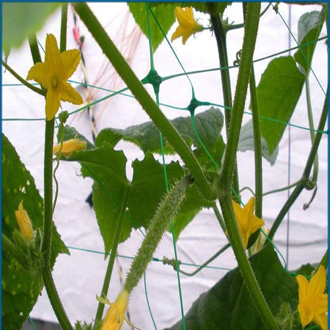 Green Garden Trellis Netting 5x100 ft Heavy Duty Polypropylene Plant Support Net - Image 4