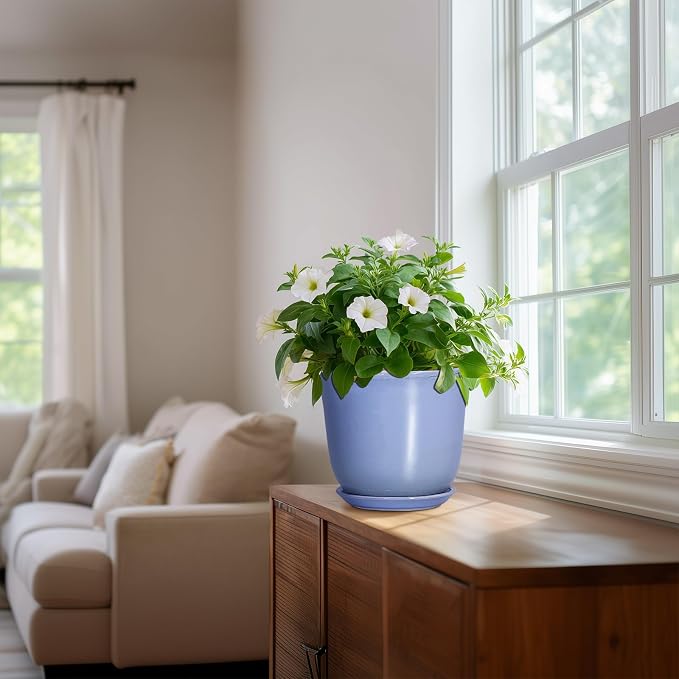 Ceramic Pots for Plants - Image 6