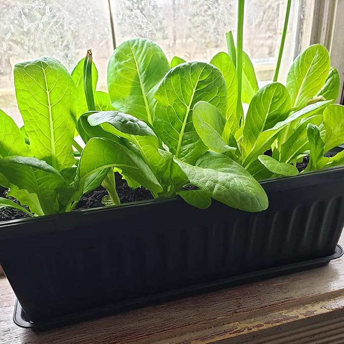 6 Pack 17 Inch Flower Window Box, Plastic Vegetable Planters Long Pots - Image 7