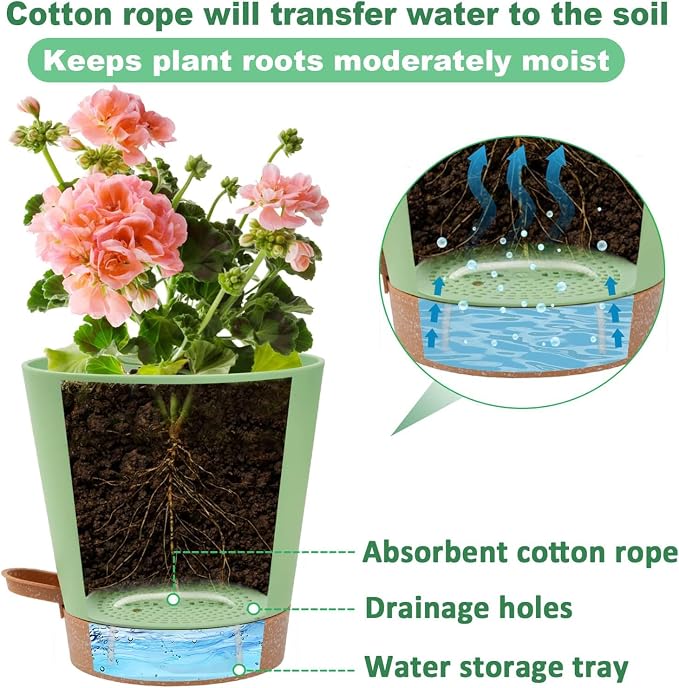 5in Self Watering Pots for Indoor Plants - Image 4