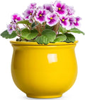 Ceramic Self Watering Planters, 6 Inch African Violet Pots by Teagas