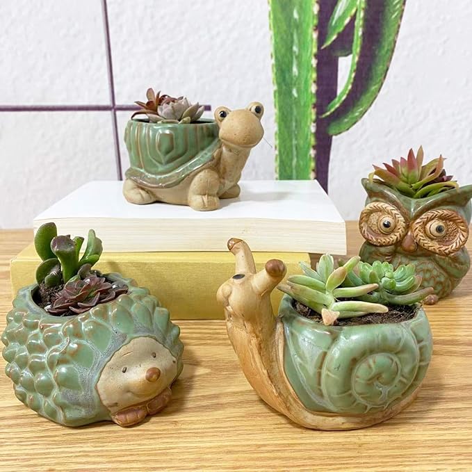 Small Ceramic Succulent Pot - Image 4