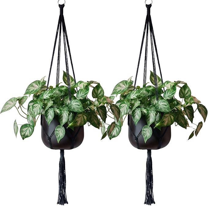 EBOOT 2 Pack 48 Inch Large Macrame Plant Hanger Rope to Hang Flower Pot Plant by eBoot