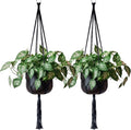 EBOOT 2 Pack 48 Inch Large Macrame Plant Hanger Rope to Hang Flower Pot Plant by eBoot