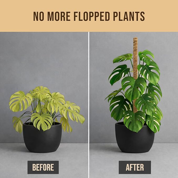 Moss Pole Monstera Plant Support – 2 Pack 28” Bendable Moss Pole Monstera Plant - Image 7
