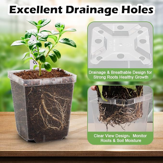 3.3 Inch Clear Nursery Pots - Image 3