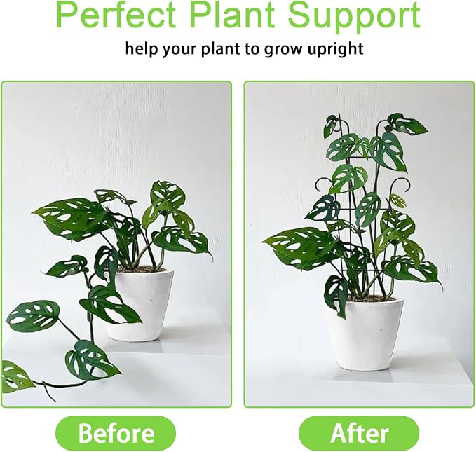 Plant Trellis for Potted Plants 2p, Larger 23in Garden Trellis for Climbing - Image 2