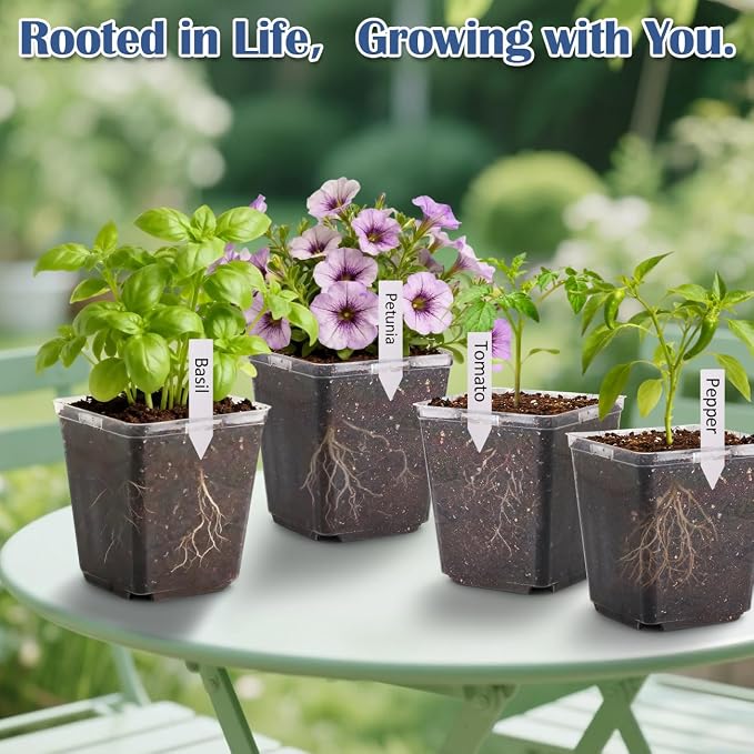 5.5 Inch Clear Square Nursery Pots - Image 8