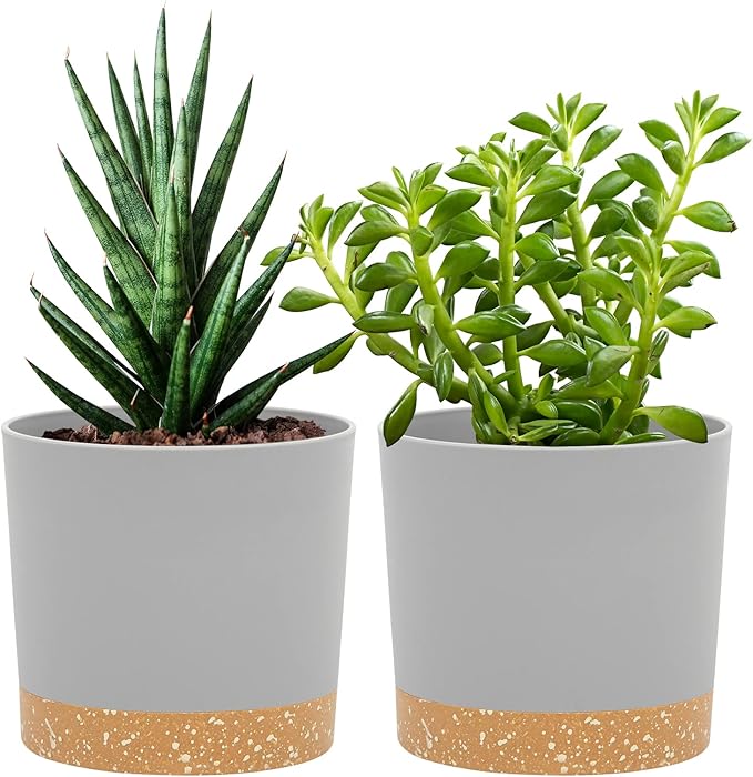 QCQHDU 5 inch Plant Pot, 2 Pack Planters by QCQHDU