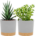 QCQHDU 5 inch Plant Pot, 2 Pack Planters by QCQHDU