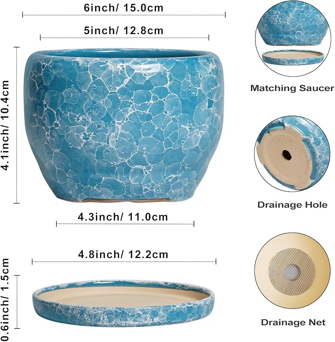 SQOWL 6 Inch Plant Pot - Image 3
