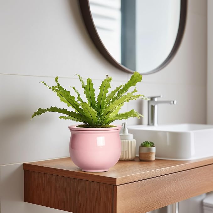 African Violet Pots, 6 Inch Ceramic Easy Self Watering Pots - Image 5