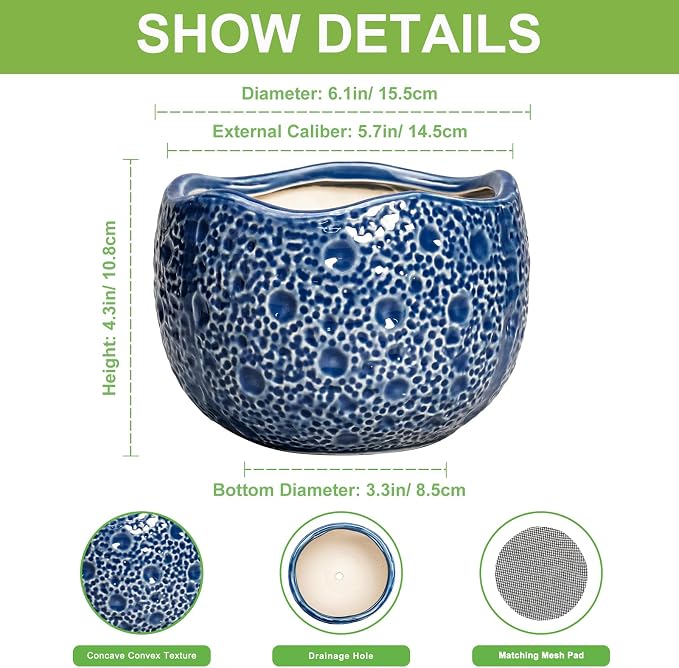 Orchid Pot - 6 Inch Ceramic Plant Pot - Image 2