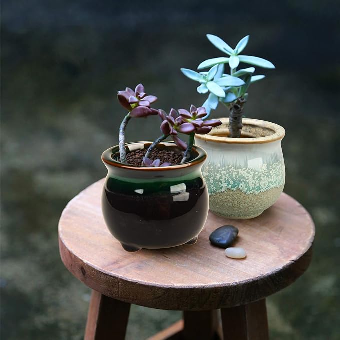 Brajttt 2.1 Inch Succulent Pot - Image 7
