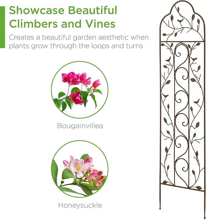 Best Choice Products 60x15in Iron Garden Trellis, Arched Outdoor Decoration - Image 4