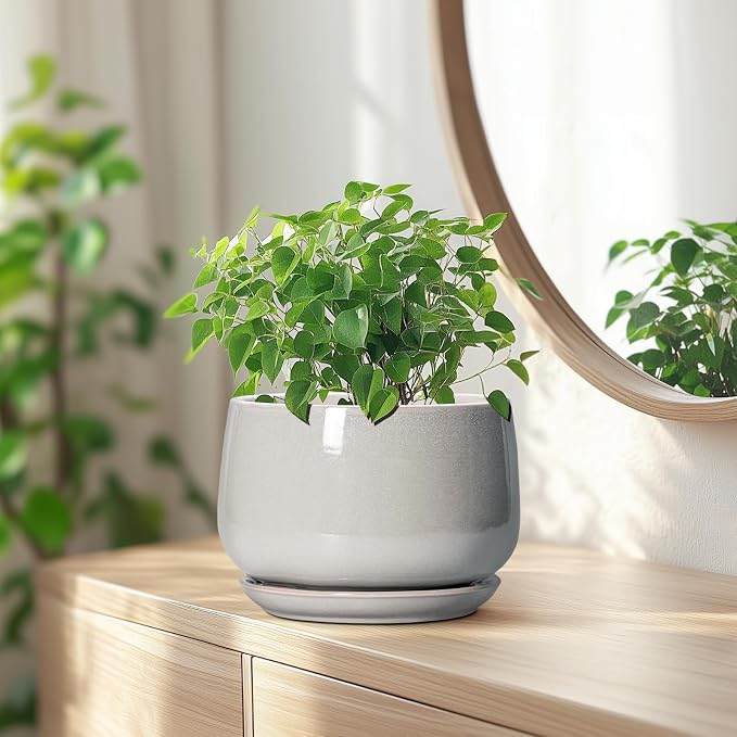 G EPGardening Ceramic Plant Pots - Image 6