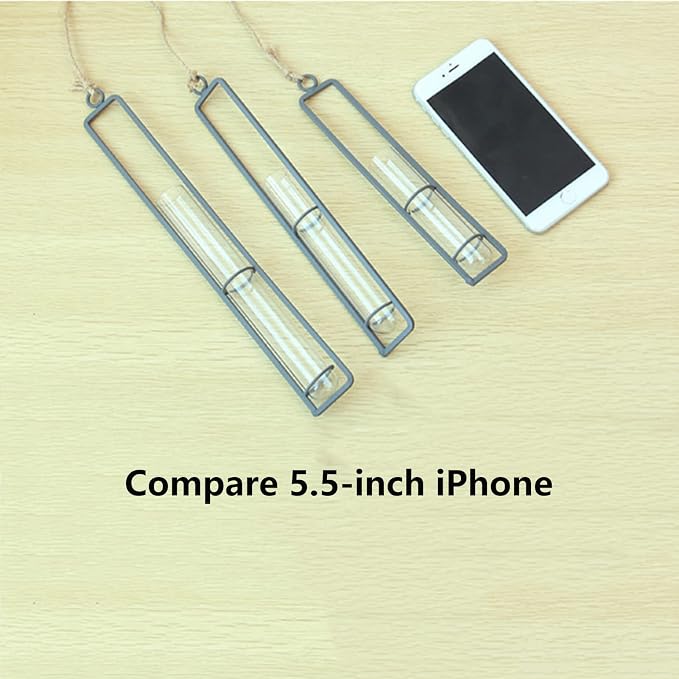 3 Pieces Hanging Glass Hydroponic Planter Transparent Test Tube Plant Vase - Image 4