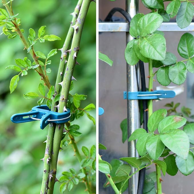 60PCS Plant Clips 2 Sizes Adjusting Reusable Garden Plant Supports Clips - Image 6