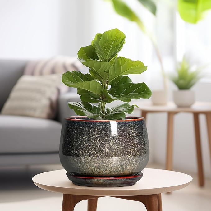 G EPGardening Ceramic Planters - Image 4