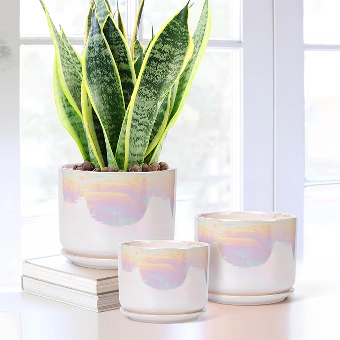 EFISPSS Plant Pots, 4+5+6 Inch Pots - Image 2