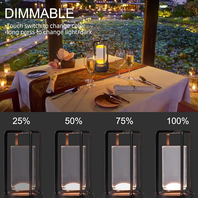 Portable Metal Table Lamp for Indoor/Outdoor, Rechargeable Cordless LED Lamp - Image 3