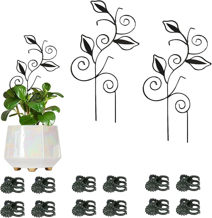 Decorative Metal Plant Trellis for Indoor Potted Plants – Leaf Shape Vine by Unknown