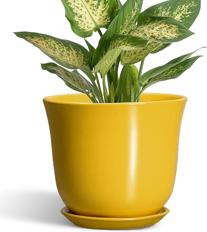 Ceramic Plant Pots by SUNPOTFOR