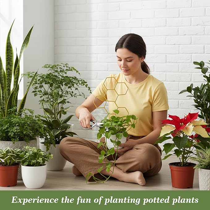 Small Trellis for Potted Plants, 14 Inch Indoor Trellis for Climbing Plants - Image 5
