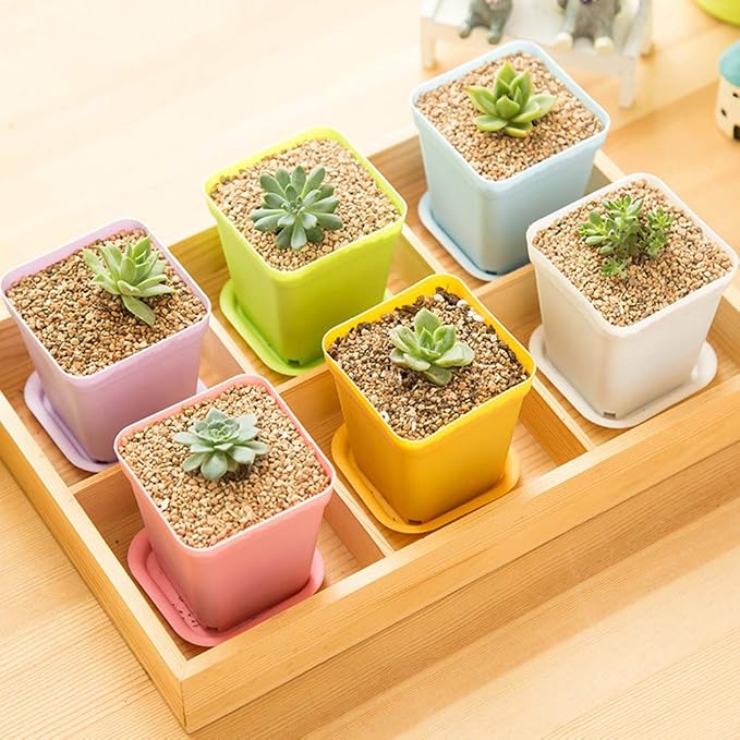 24 Pack 3inch Multi Color Square Plastic Plant Pots, Seedling Nursery - Image 5